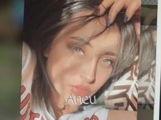 Aneu