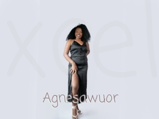 Agnesawuor