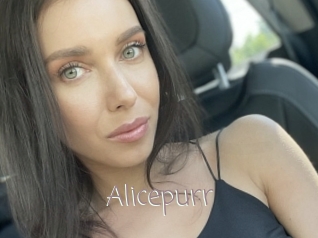 Alicepurr