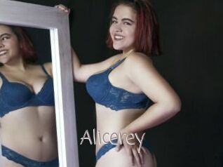 Alicerey