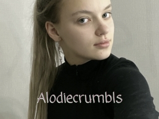 Alodiecrumbls