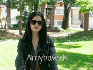 Amyhawkk
