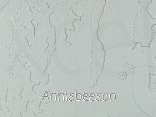 Annisbeeson