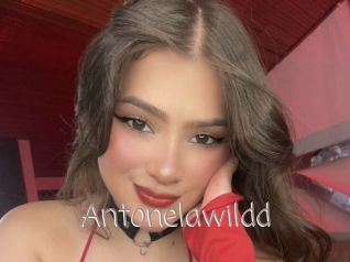 Antonelawildd