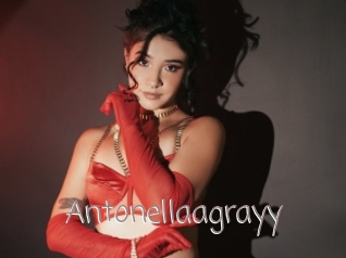 Antonellaagrayy
