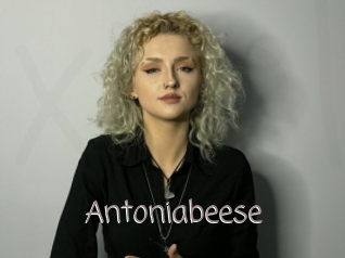 Antoniabeese