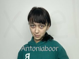 Antoniaboor
