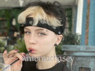 Antoniachasey
