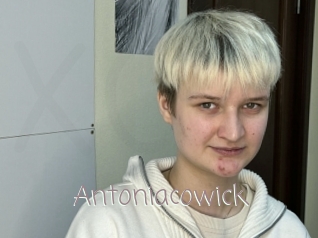 Antoniacowick