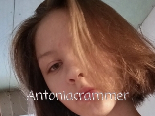 Antoniacrammer