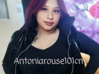 Antoniarouse101cm