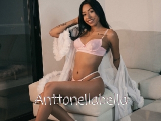 Anttonellabella