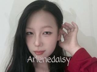 Arlenedaisy
