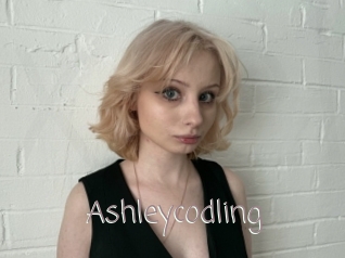 Ashleycodling