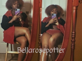 Bellarosepotter