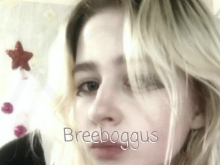 Breeboggus