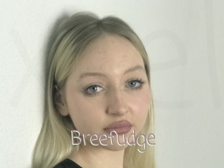 Breefudge