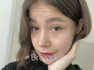 Breegrief