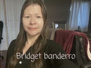 Bridget_banderro
