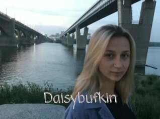 Daisybufkin