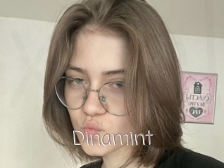Dinamint