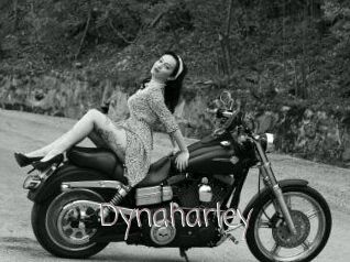 Dynaharley