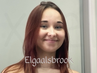 Elgaalsbrook