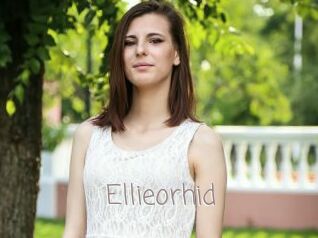 Ellieorhid