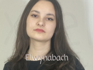 Elwynabach
