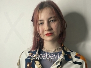 Felicebevis