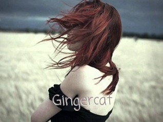 Gingercat
