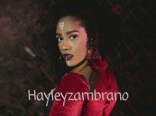 Hayleyzambrano