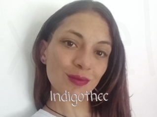 Indigothcc