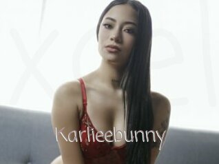 Karlieebunny