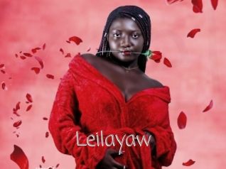 Leilayaw