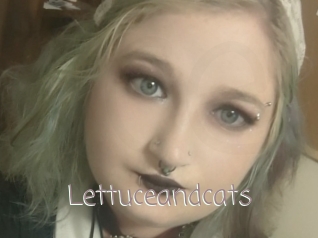 Lettuceandcats