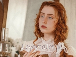 Leyamaller