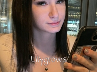 Lilygrows