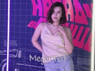 Meganfelt