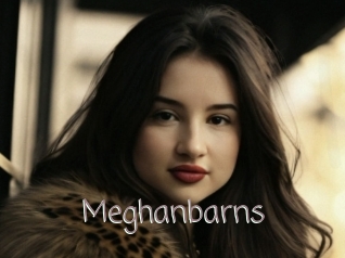 Meghanbarns