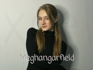 Meghangarfield