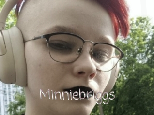 Minniebriggs