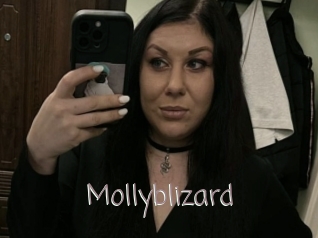 Mollyblizard