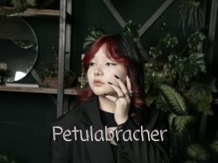 Petulabracher