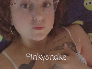 Pinkysnake