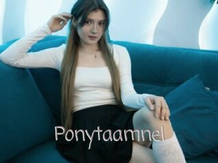Ponytaamnel