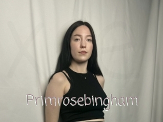 Primrosebingham