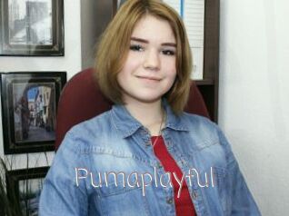 Pumaplayful
