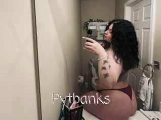 Pytbanks