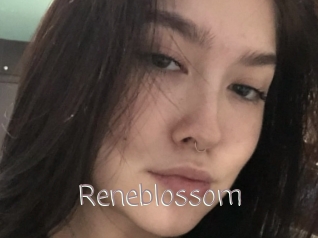 Reneblossom